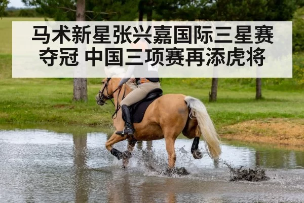 马术新星张兴嘉国际三星赛夺冠 中国三项赛再添虎将